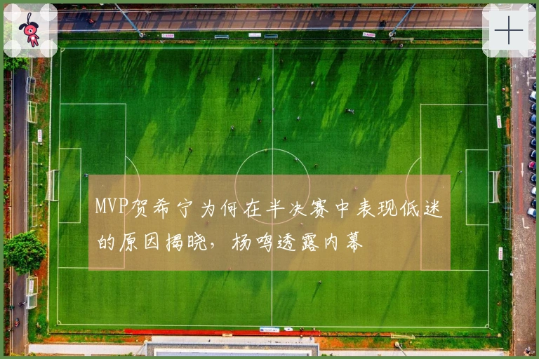 MVP贺希宁为何在半决赛中表现低迷的原因揭晓，杨鸣透露内幕
